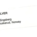 Silver - image 5
