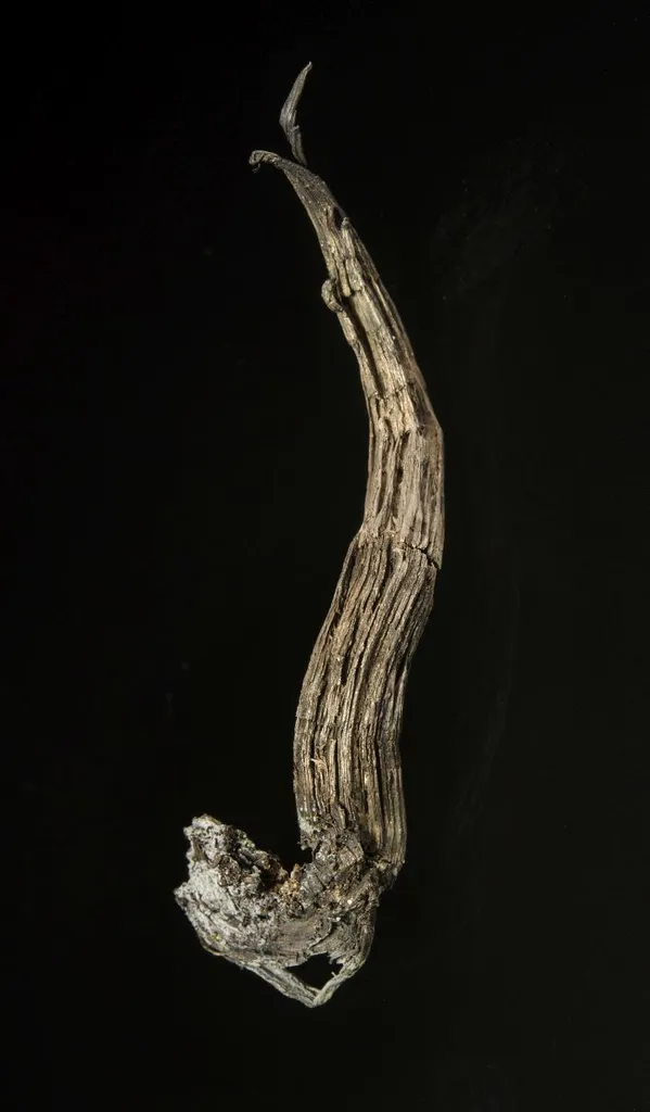 Silver - image 2