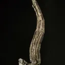 Silver - image 2