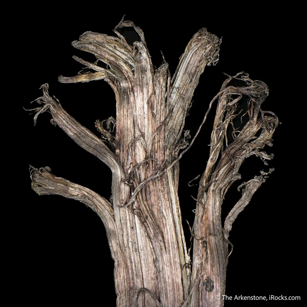 Silver - image 6