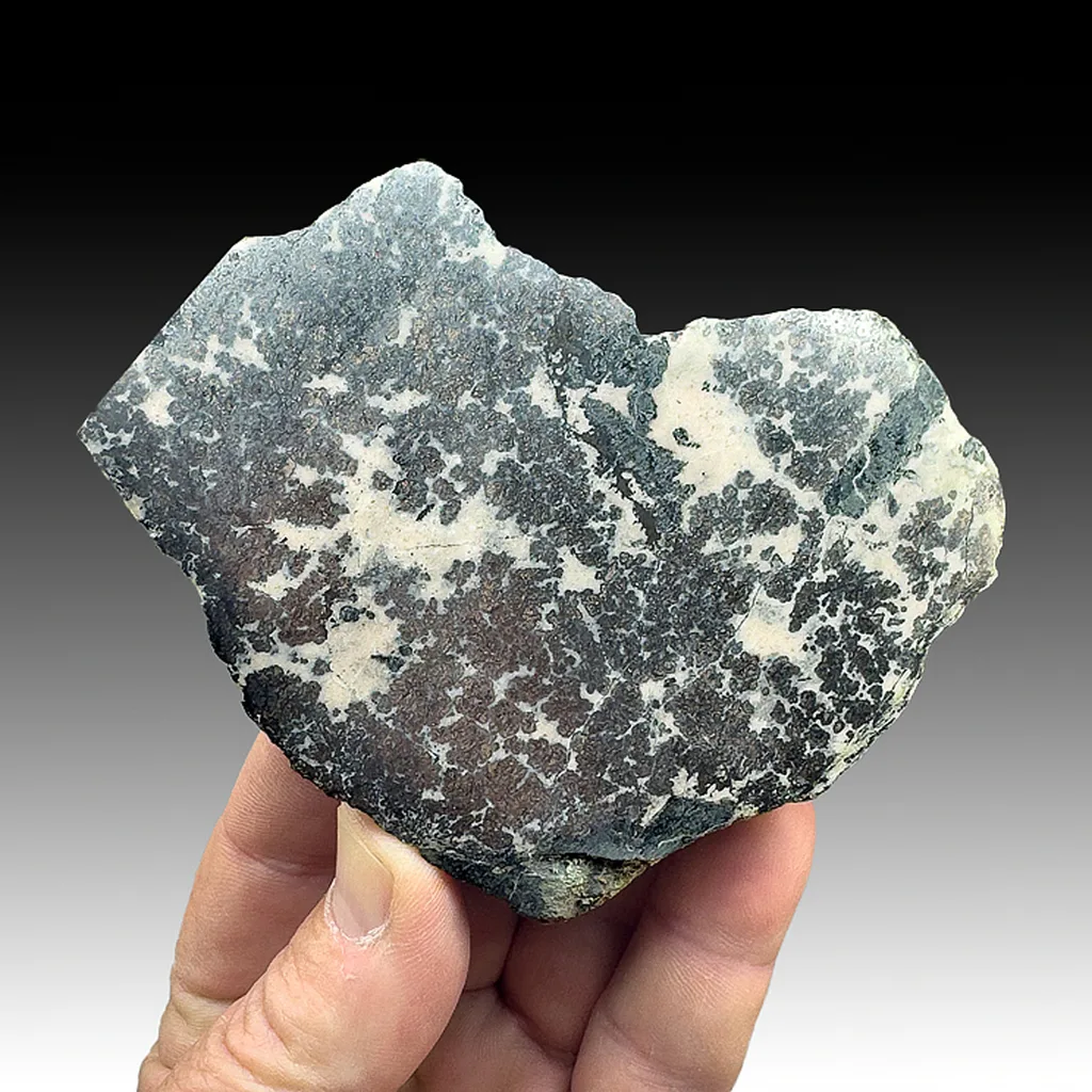 Silver - image 1