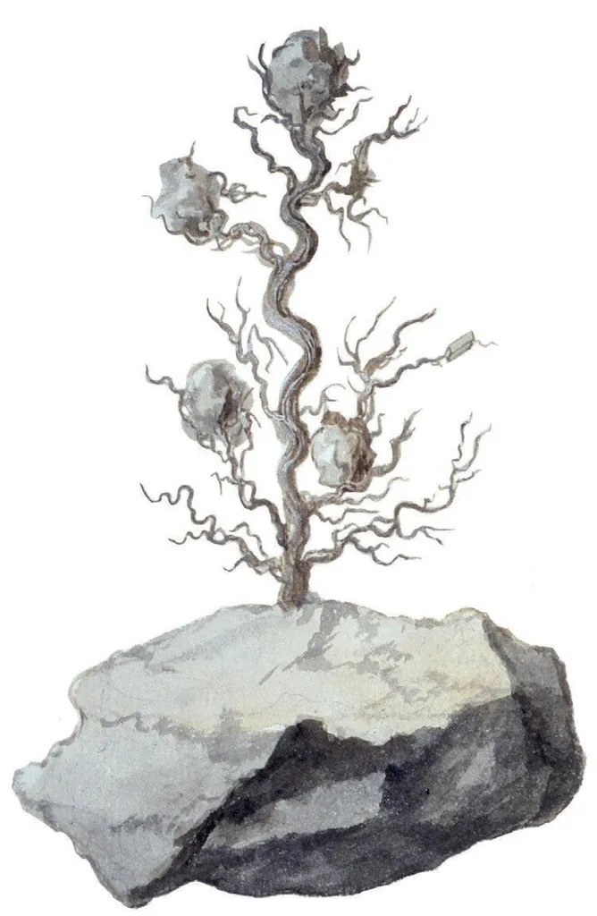 Silver - image 1