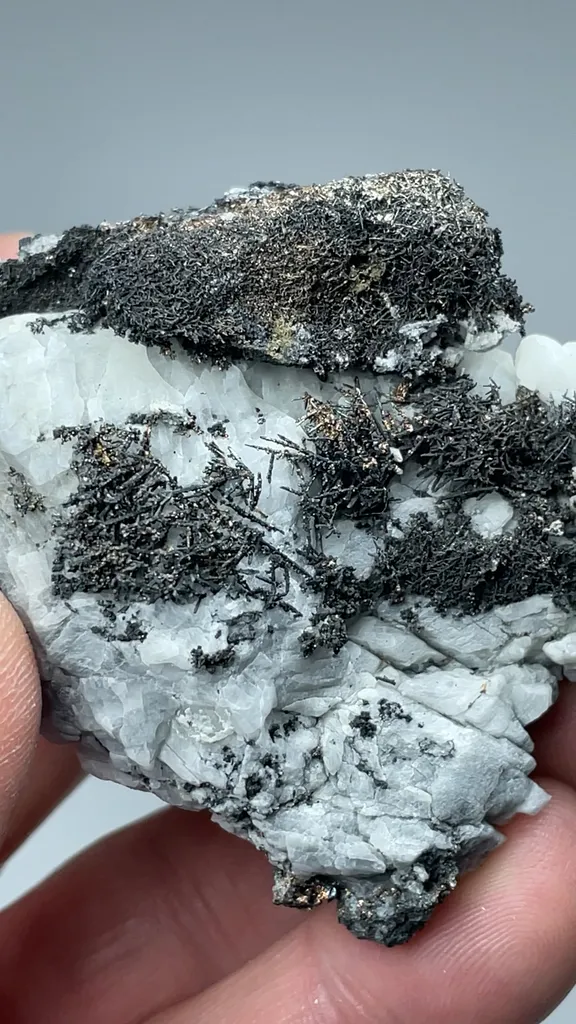 Silver - image 2