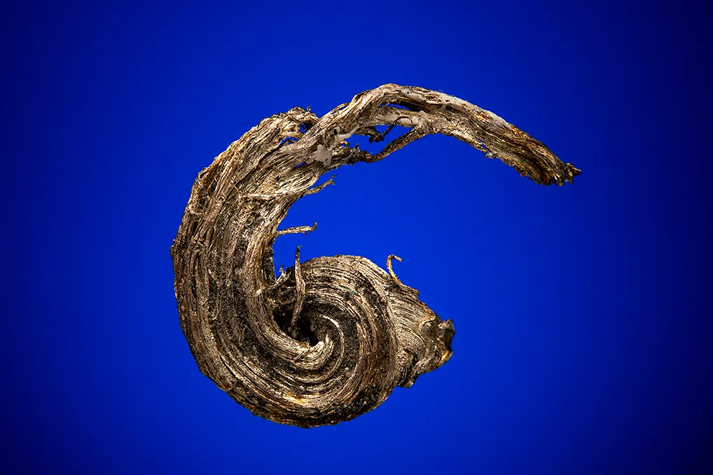 Silver image