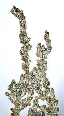 Silver - image 2