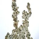 Silver - image 2