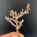 Silver - image 1