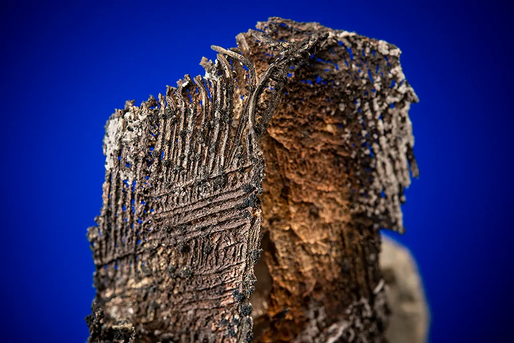 Silver - image 2