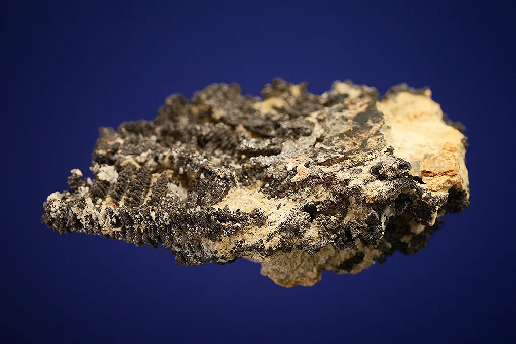 Silver - image 3