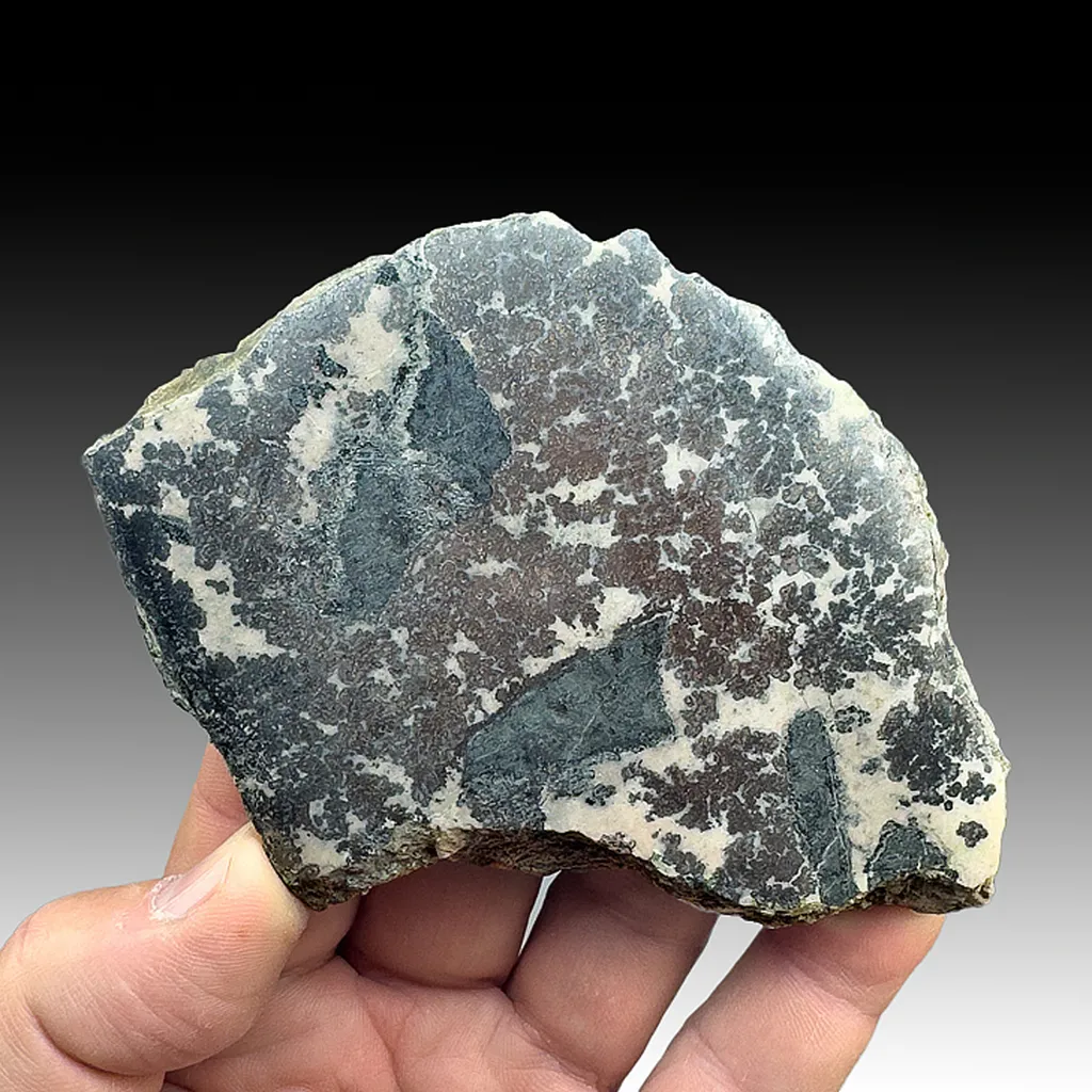 Silver image