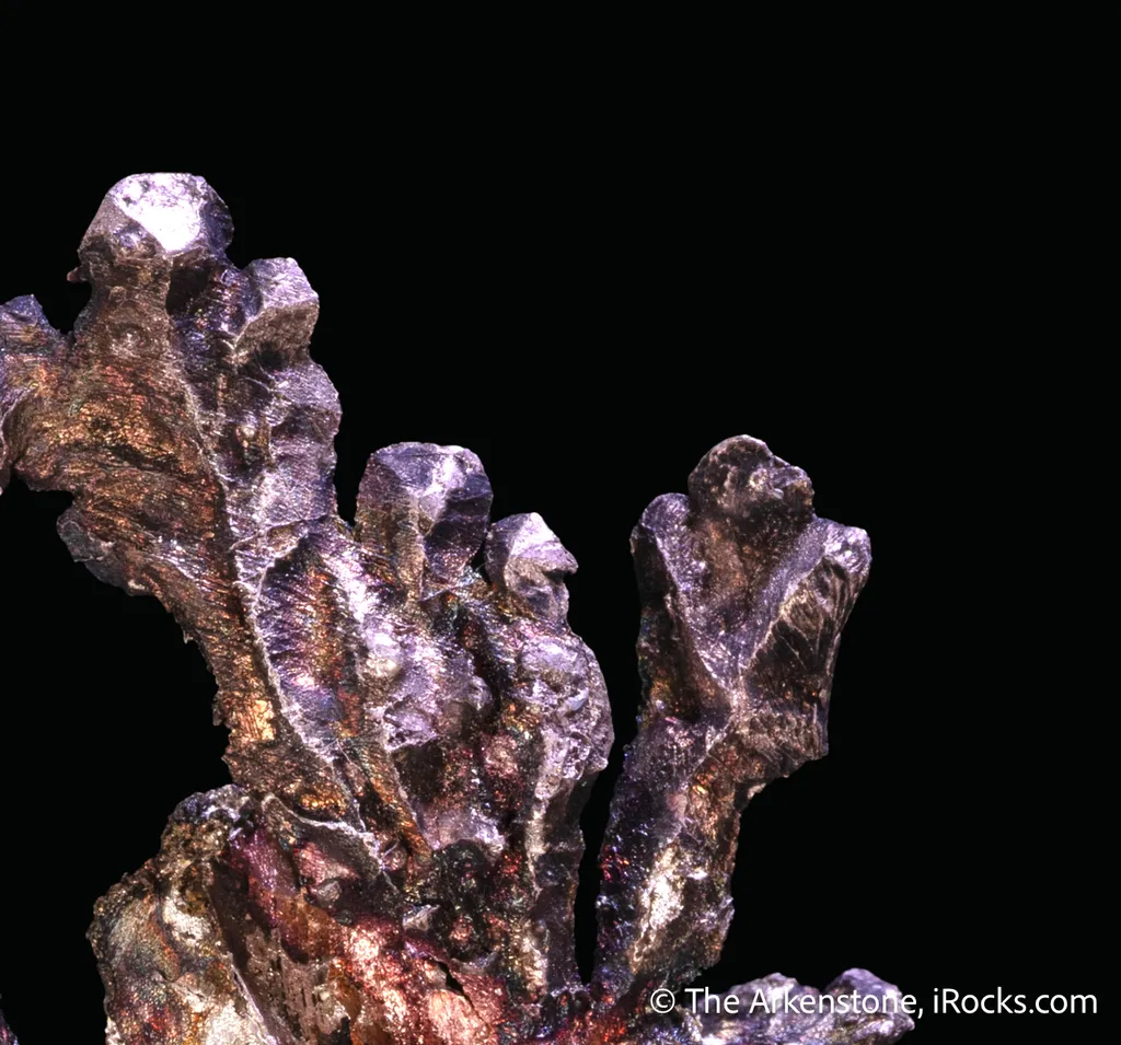 Silver - image 6