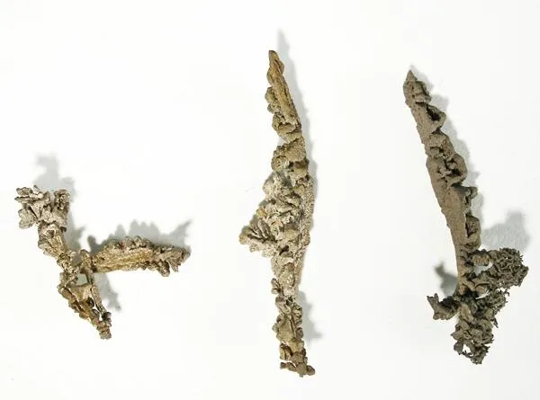 Silver image