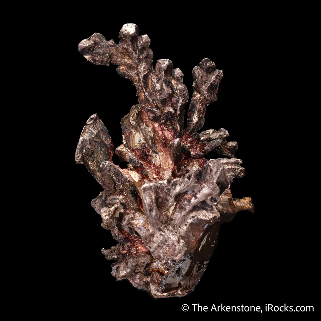 Silver - image 5