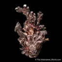 Silver - image 5