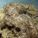 Silver, Acanthite - image 2
