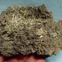 Silver, Acanthite - image 1