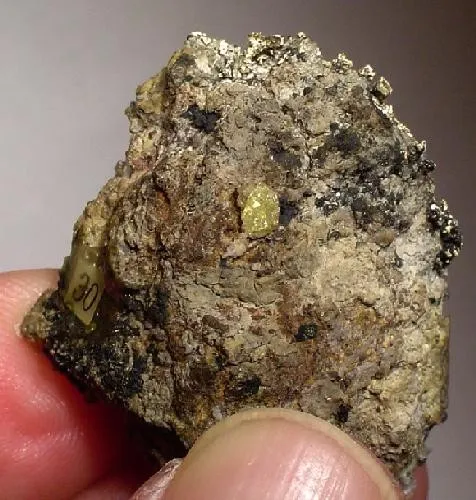 Silver, Acanthite, Chlorargyrite (Var: Bromian Chlorargyrite) - image 2