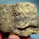 Silver, Acanthite, Pyrite - image 2