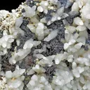 Silver, Acanthite with Calcite - image 2