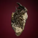 Silver after Dyscrasite - image 7