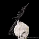 Silver and Calcite - image 5