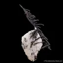 Silver and Calcite - image 1