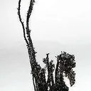 Silver and Calcite - image 1