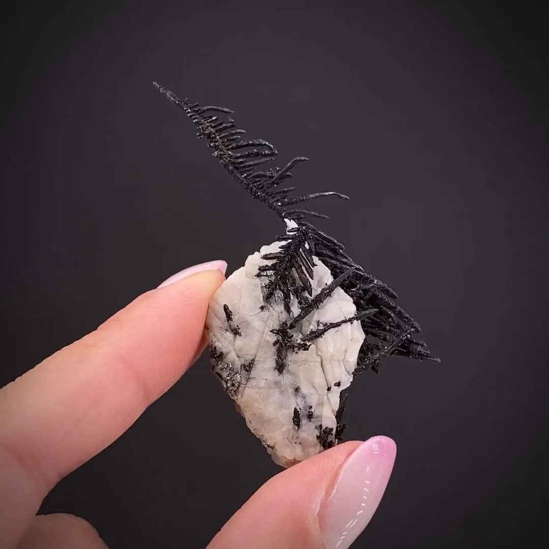 Silver and Calcite - image 2