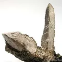Silver and Copper - image 3