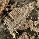 Silver, Arsenic - image 2