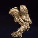 Silver - image 3