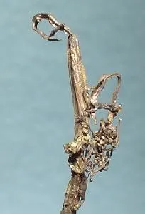 Silver - image 2