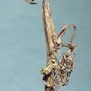 Silver - image 2