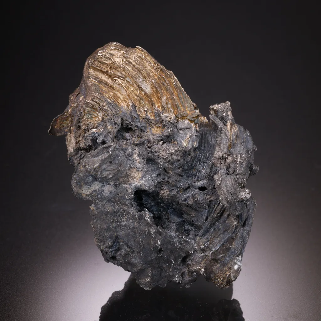 Silver - image 2