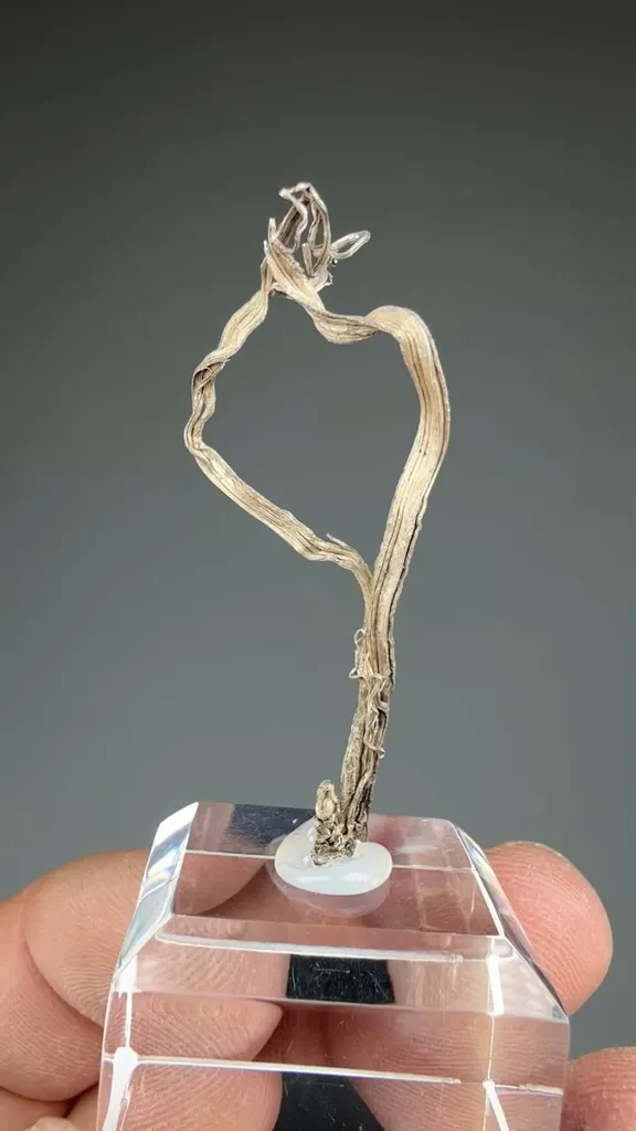 Silver - image 2