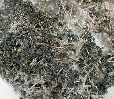 Silver - image 4