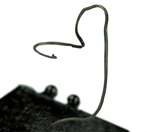 Silver image