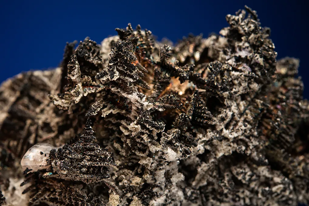 Silver - image 3
