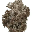 Silver - image 1