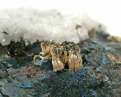 Silver, Bornite - image 2