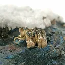 Silver, Bornite - image 2