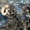 Silver, Bornite, Covellite - image 2