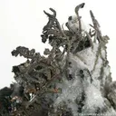 Silver - image 3