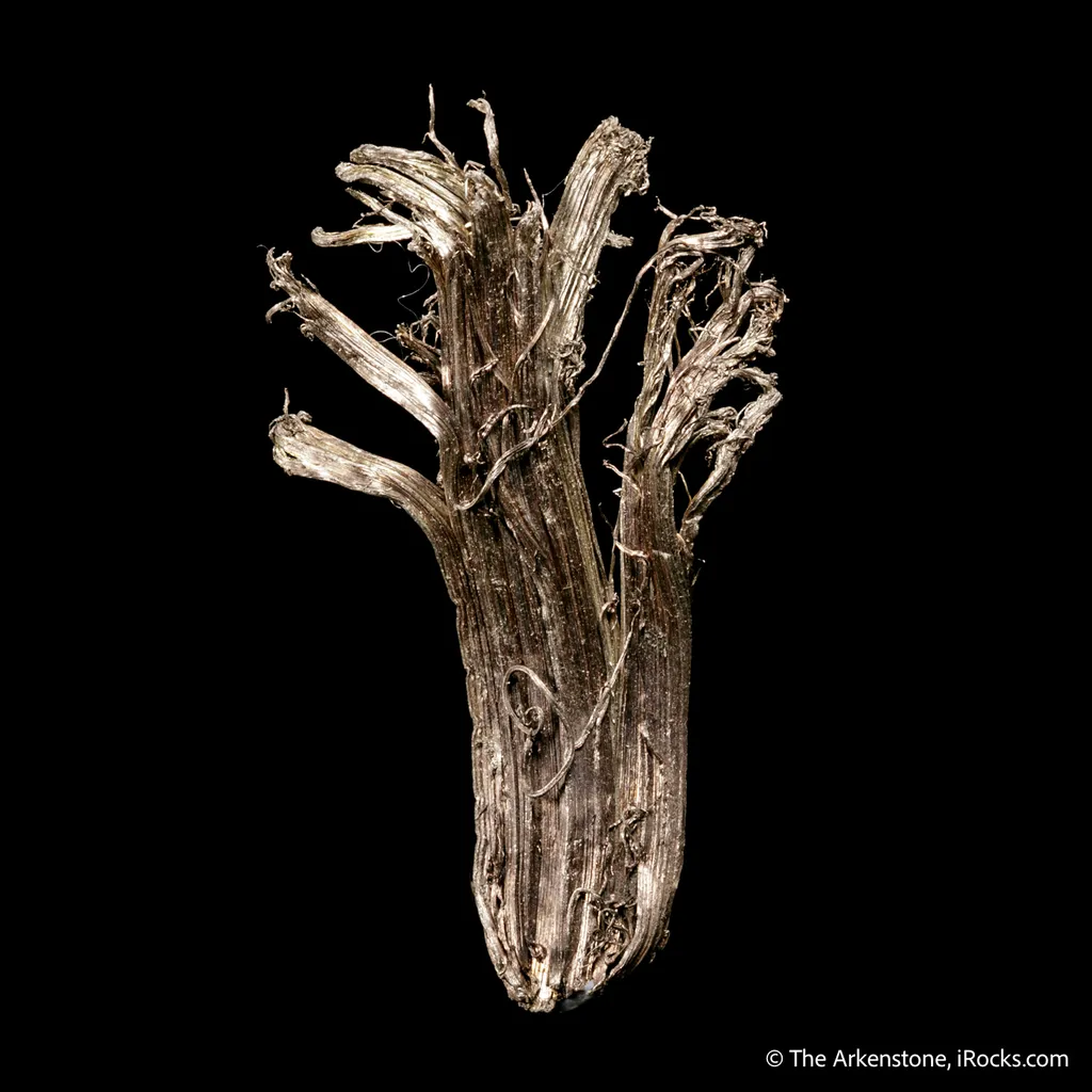Silver - image 4