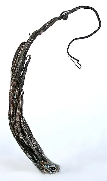Silver image