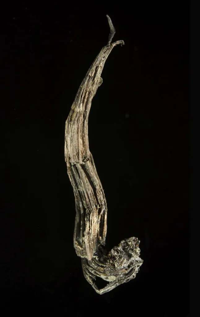 Silver image