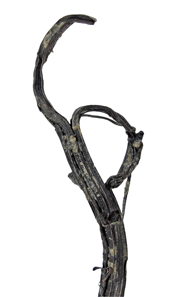 Silver - image 4