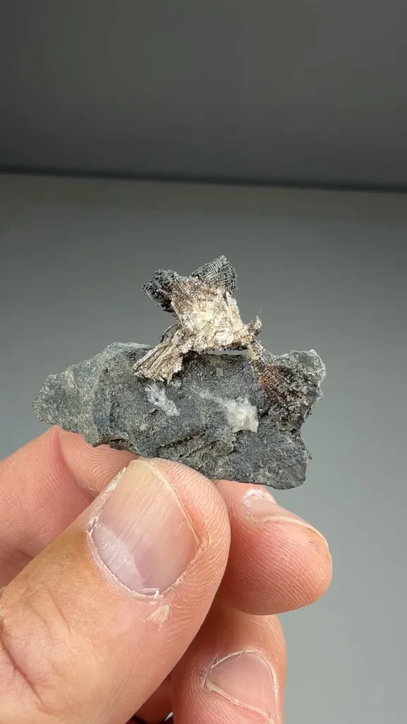 Silver - image 2