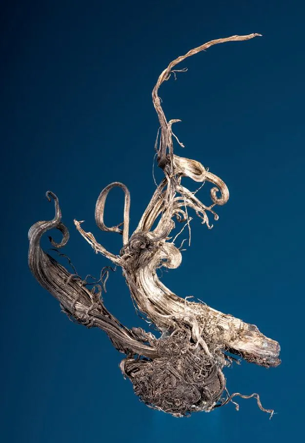 Silver, Calcite, Acanthite image
