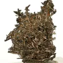 Silver, Calcite - image 1